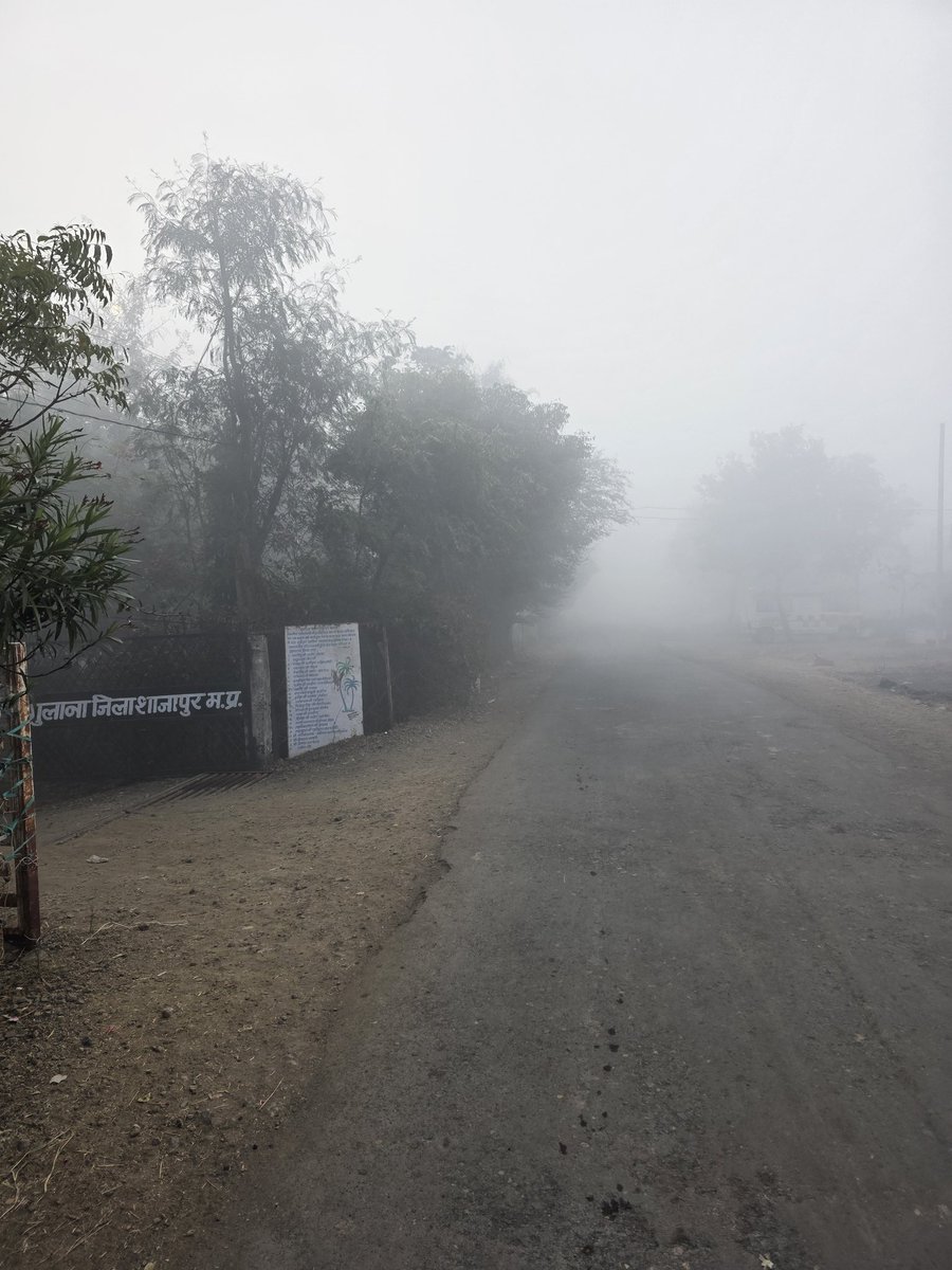 Mridul Pal tweet media