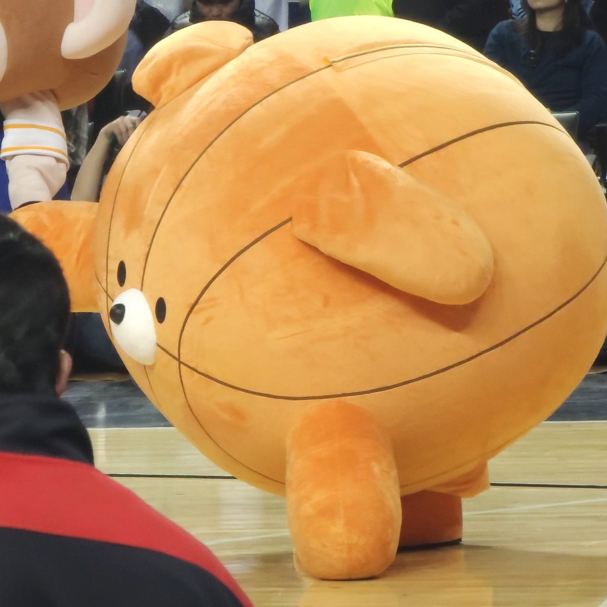 kblwkbl's tweet image. 공아지인사하는거졸귀ㅠㅠㅠ