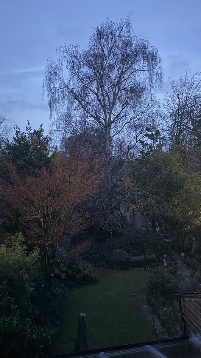 Ian Dennis / Indent Design tweet media