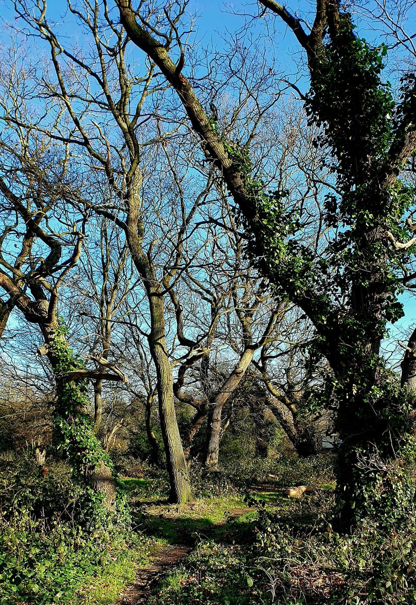 CLIVE POWER tweet media