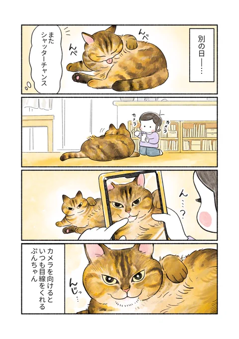 (2/2) 