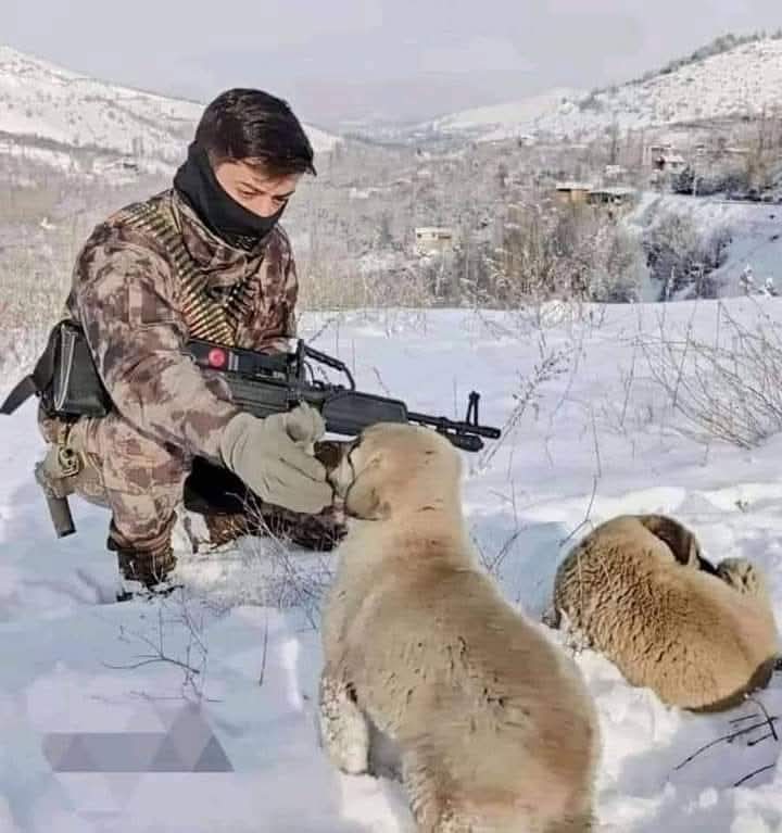 insanlar tesadüfle karşılaşmaz onları karşılaştıran. Allah'tır