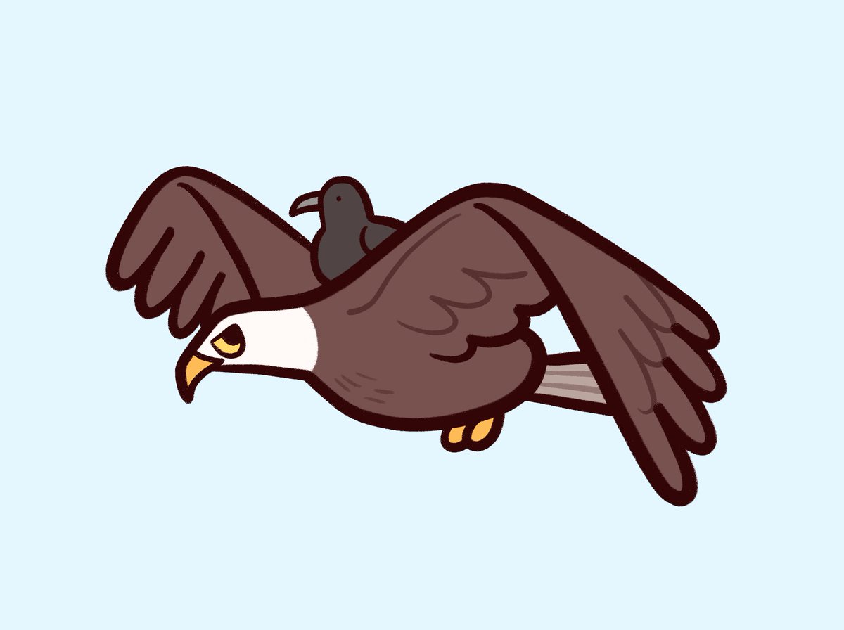 #오리연못_리퀘
흰머리수리 등 위에 올라탄 까마귀
그 유명한 사진 참고했습니다
spin-spin.com/post/696b3aba3…