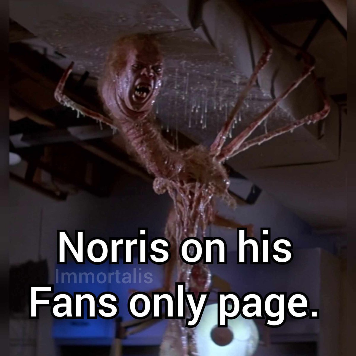 FUCHS - The Thing (@fuchsthingdb) on Twitter photo 