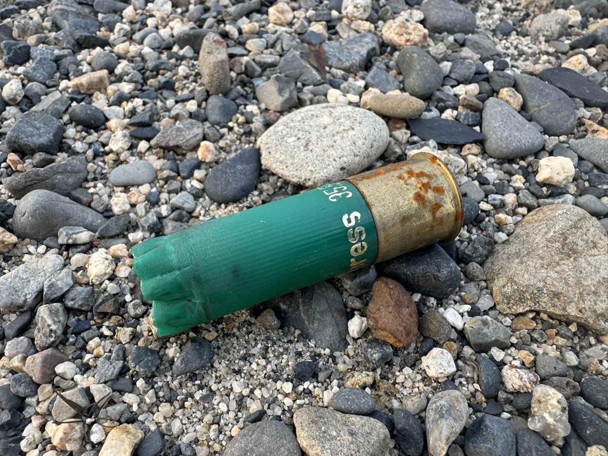 えぐいの見つけたわw弾薬w
結構でかいんやねw