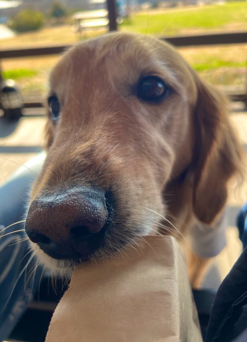 いい匂いするコレぼくのだよね⁇
(残念！違います😆)