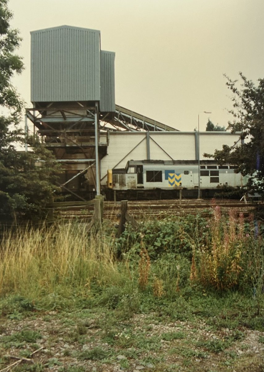 #SideOnSaturday 37519 loading 6E78  Mountsorrel Sidings Aug/Sept 1996.