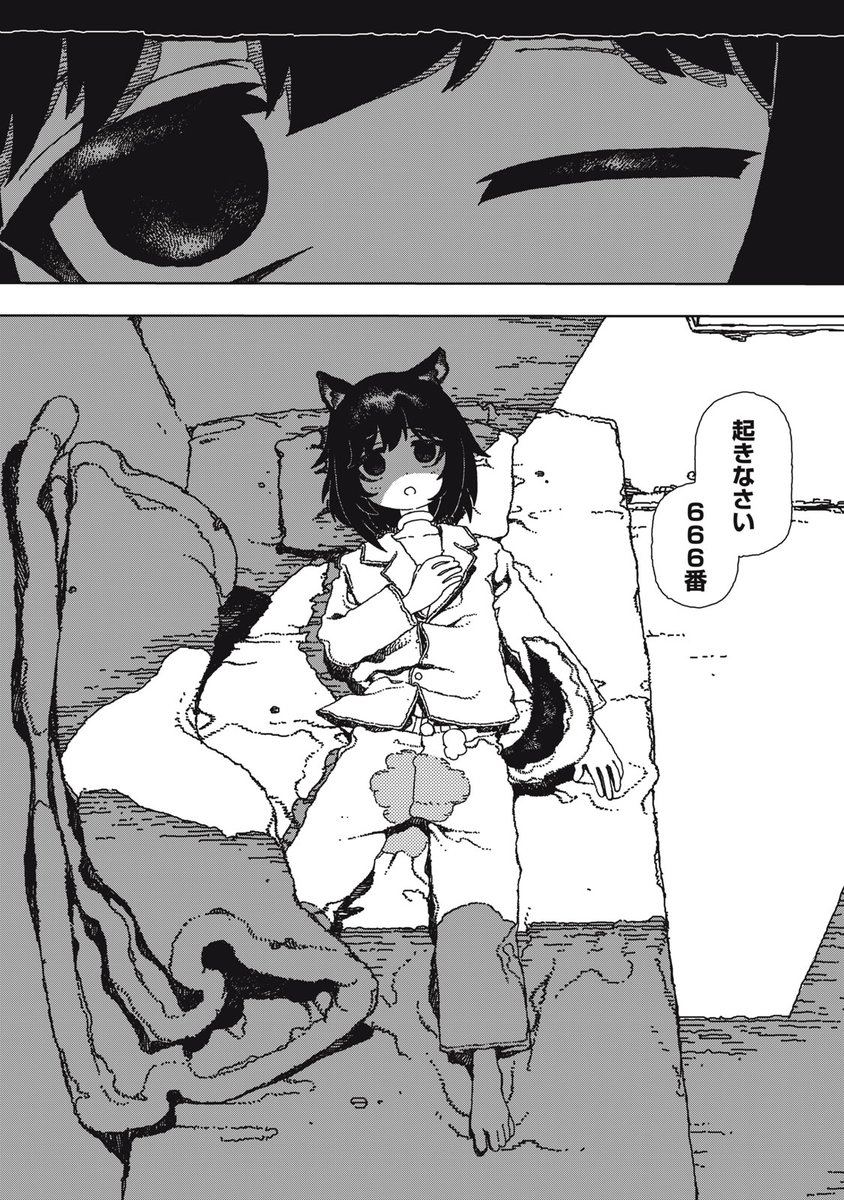 (2/13) 