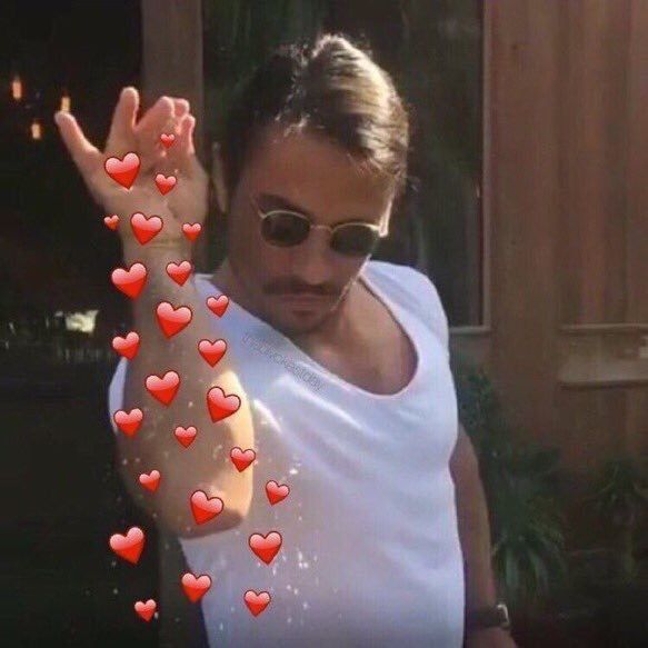 sharkell14's tweet image. Me every single day on this app