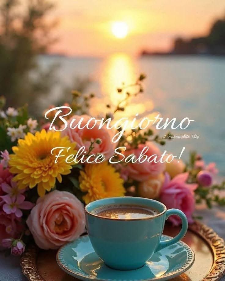 RITABIANCHi56 tweet media