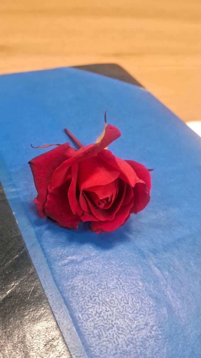 An advocate turned up at the Delhi High Court today with flowers in hand, personally asking for votes in the upcoming Bar Council elections 🌸⚖️
No names taken—but the gesture was certainly unique, refreshing, and hard to miss.