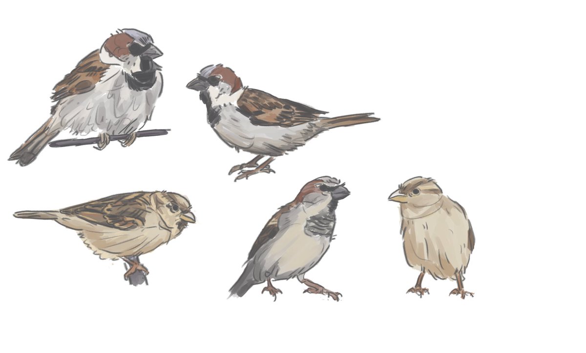 Piedwagt tweet media