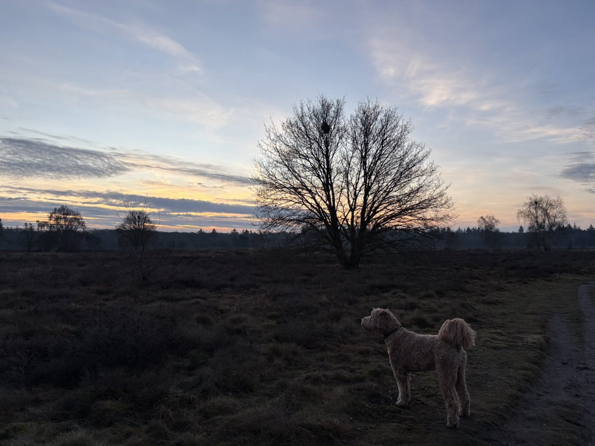 08.00 uur Zaterdagochtendrondje #holger #GroevenbeekseHeide #Ermelo