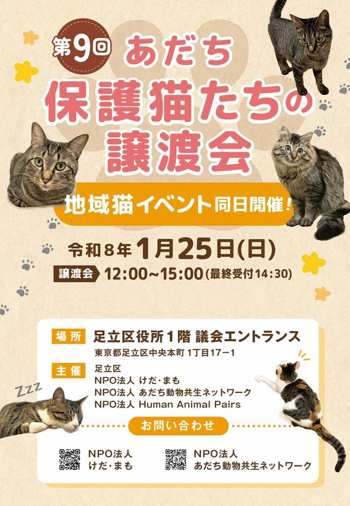 保護猫たちの譲渡会開催／ 1月25日（日）12時から15時（最終
