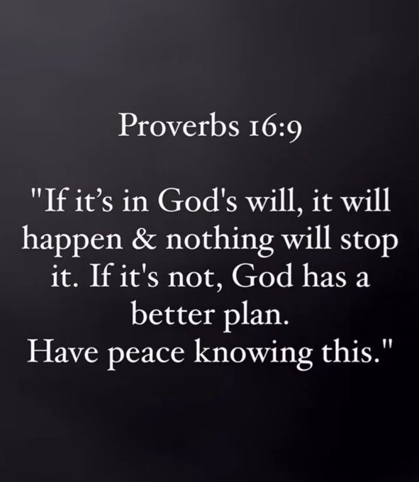 Bible 365 tweet media