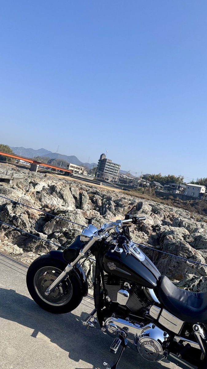 FXDF_FATBOB_BOB's tweet image. 1995年1月17日🙏

朝から快晴☀️
ボブさ〜んって声を掛けてくださるコーヒー屋さん、
綺麗に花壇を
手入れされる見知らぬ方、
水を飲む小さな鳥…

色んな偶然や必然の
出会いに感謝😊