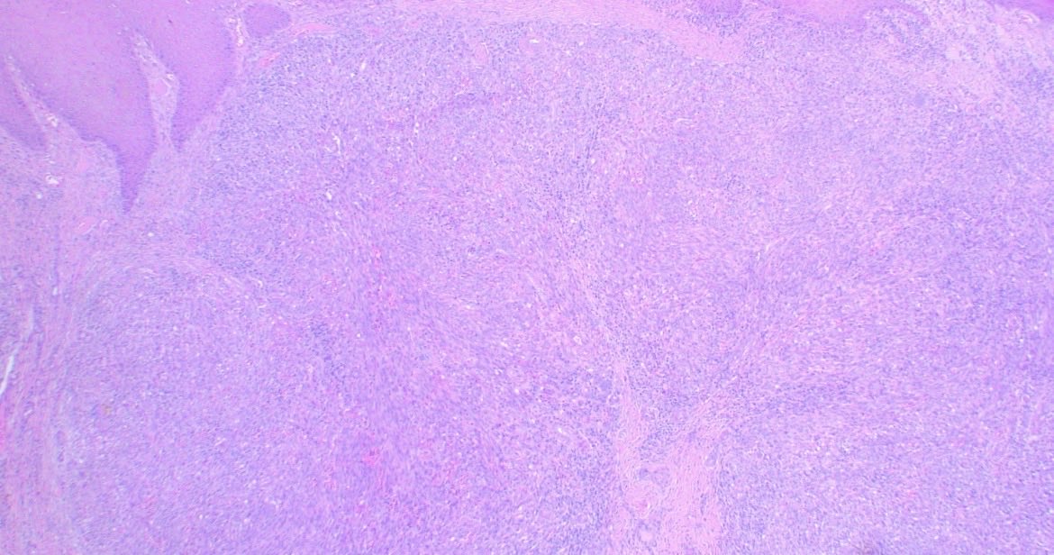 Jose Candido tweet media