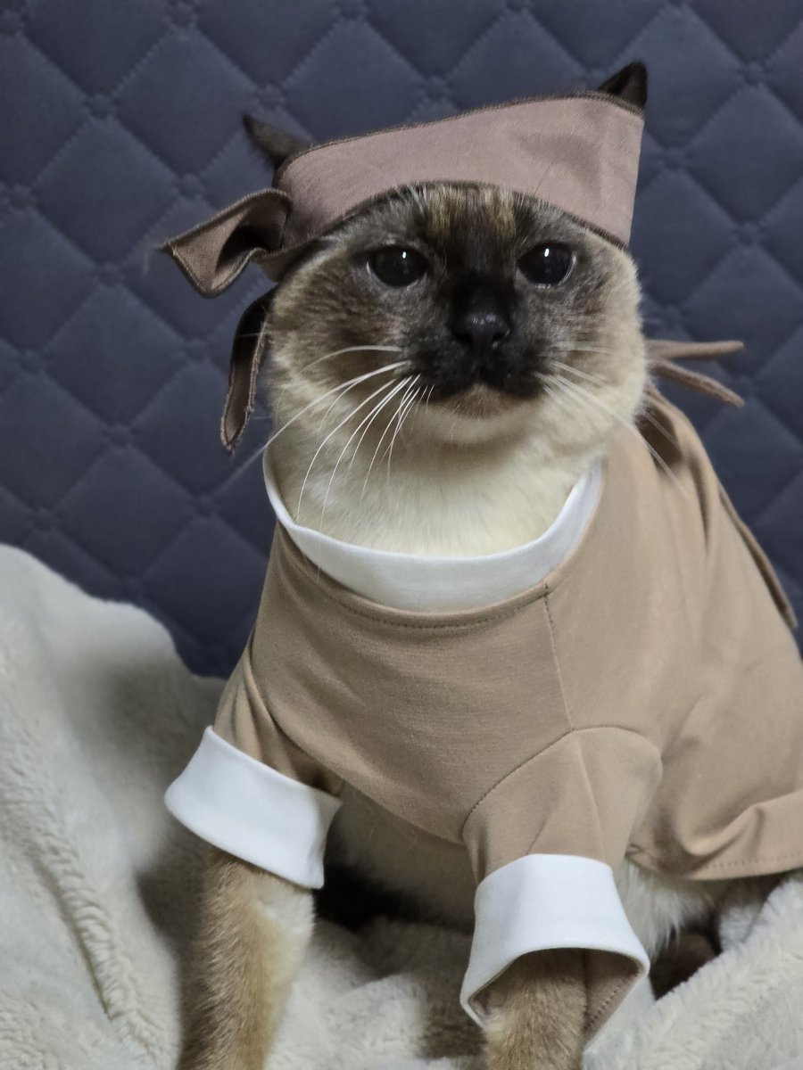 지가 똑똑히 봤슈!!!!