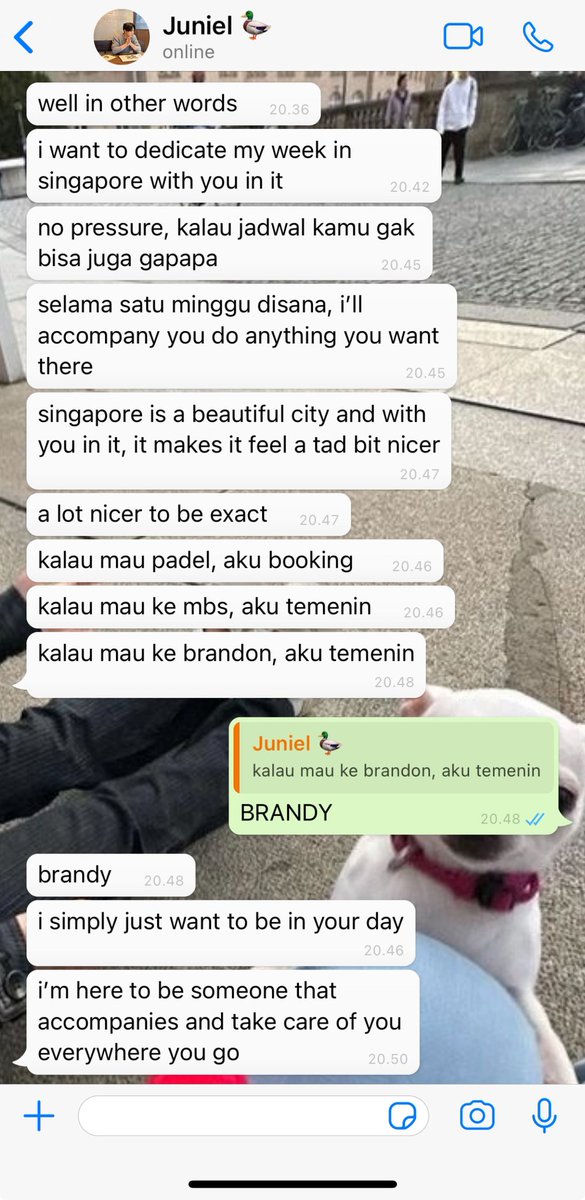 nelangsabiru's tweet image. Sincerely, Singapore. #Angrybao short au