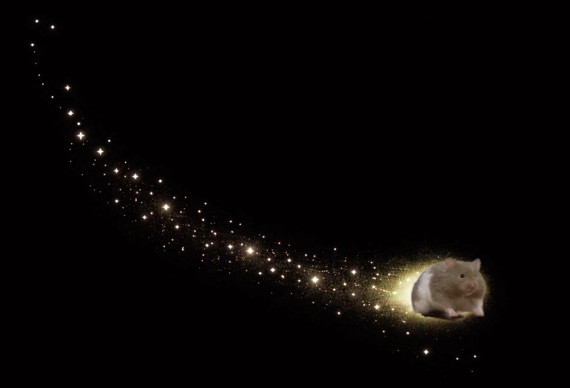 Puipui_tv's tweet image. ∴｡　
　･ﾟ*｡. 
　　･ *ﾟ
　 ･ ﾟ*
     ･｡     
   *･｡
      *.｡ 
           ｡･
              °*. ﾟ｡
                      °*.
                      ﾟ*.
                 ｡｡ ･
             ｡ ･ﾟ
       ｡°*.
   ｡*･