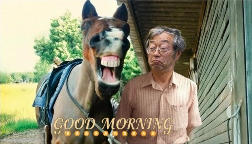 PromiseUpdate50's tweet image. GM CT,

It's weekend over here and time to stop touching grass.

What is with me talking about @duel_duck here