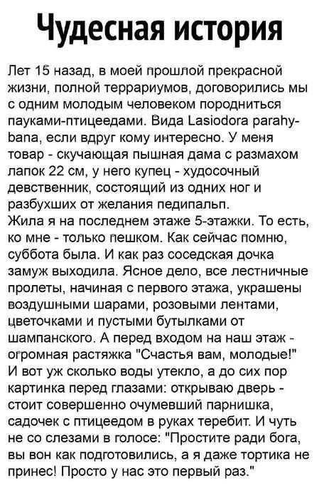 Yaplakal.com (@yaplakalcom) on Twitter photo 