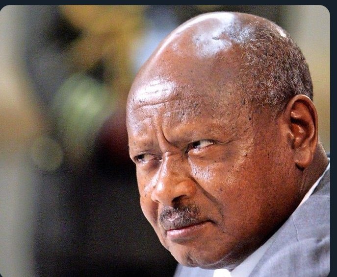 MasawiOlsen's tweet photo. @DillenMasawi Iye ambori kupi ko ?
Kubva pama courts cases paye we never heard from ,anodaro akasungwa kaa https://t.co/YYvAdx2psj
