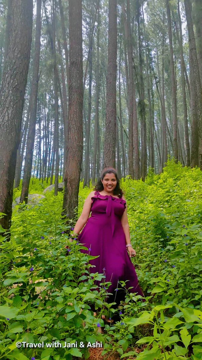 JaniNAshi3's tweet photo. සොබාදහමේ රජදහනක දම්පාට සලකුණ 🌲💜 | ᴡɪʟᴅ & ᴘᴜʀᴘʟᴇ 💚🍃
followed🌿
𝐓𝐫𝐚𝐯𝐞𝐥 𝐰𝐢𝐭𝐡 𝐉𝐚𝐧𝐢 & 𝐀𝐬𝐡𝐢 ☘️ 🇱🇰
____________________________
.
.
.
#jani_ashi #PineForest #MountainVibes #PurpleDress #NatureLover #TravelDiaries #HillCountry #SriLanka #aestheticposts https://t.co/ghLjr7Wv2q