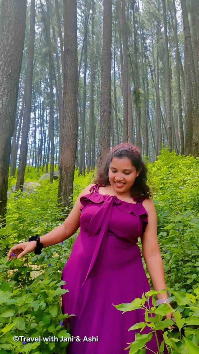 JaniNAshi3's tweet photo. සොබාදහමේ රජදහනක දම්පාට සලකුණ 🌲💜 | ᴡɪʟᴅ & ᴘᴜʀᴘʟᴇ 💚🍃
followed🌿
𝐓𝐫𝐚𝐯𝐞𝐥 𝐰𝐢𝐭𝐡 𝐉𝐚𝐧𝐢 & 𝐀𝐬𝐡𝐢 ☘️ 🇱🇰
____________________________
.
.
.
#jani_ashi #PineForest #MountainVibes #PurpleDress #NatureLover #TravelDiaries #HillCountry #SriLanka #aestheticposts https://t.co/ghLjr7Wv2q