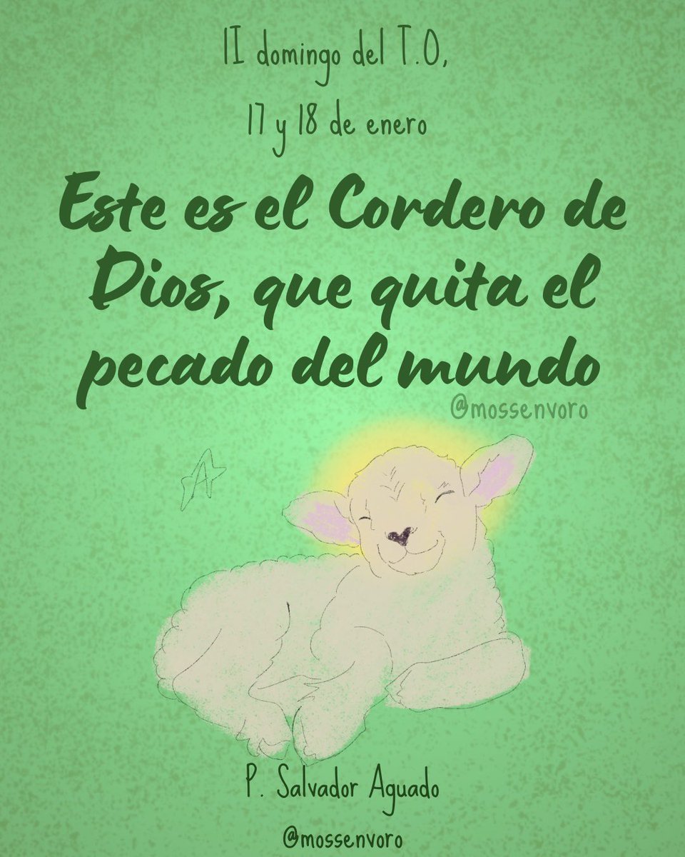 mossenvoro_'s tweet photo. Bendecido fin de semana 🙏🏻🟢 #reflexiónevangelio #mossenvoro #TiempoOrdinario #CorderodeDios #evangelizacióndigital #misionerosdigitales https://t.co/Vbnl8G7i1n