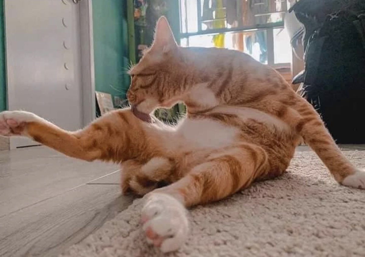 place where car shouldnt be (@carshouldnt) on Twitter photo 