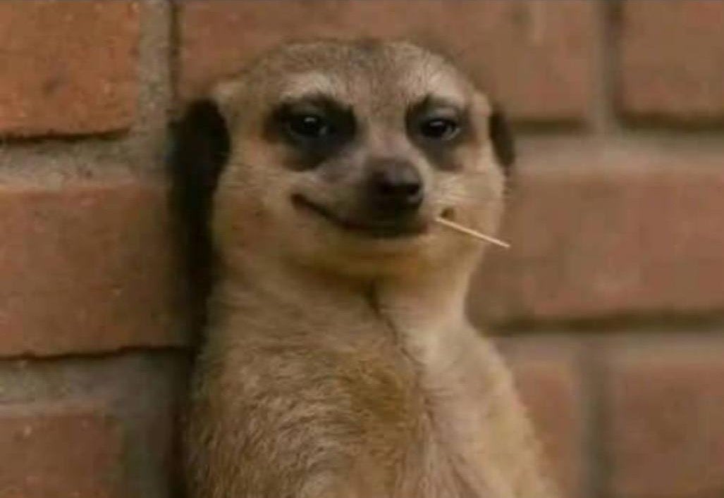 KFlex's tweet image. Match 1:0 at ht 
Pick : over 1.5
Sportybet intentionally locking odds with dangerous attack description just to boost your morale. 
#AFCON2025