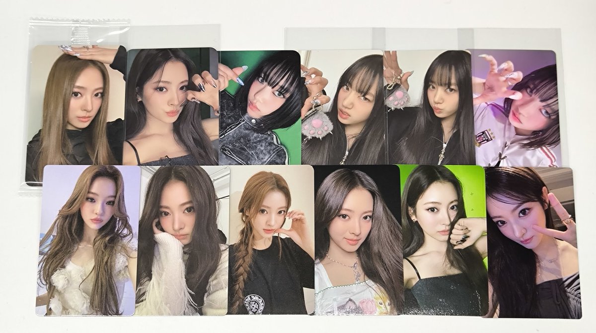 MEOVV 🐈‍⬛ ͗ 【入荷情報】 MEOVVのスインちゃんとアンナちゃんの