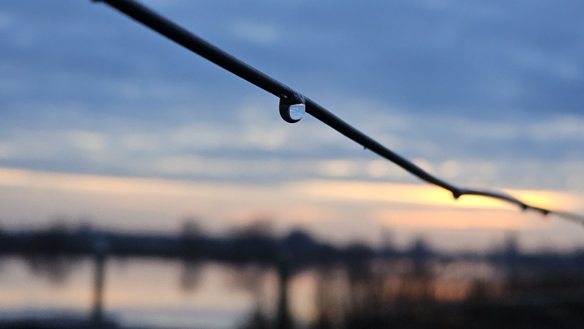 Motormiss's tweet image. Druppels aan een draad na de regen, ik hou ervan. De kleuren aan de lucht kwamen langzaam op gang voor zonsopgang. Maar het zachte roze werd helderder en daarna... De ochtendstond had goud in de mond 🌅👀📸
#Andel #afgedamdemaas #Altena #zonsopgang #druppels