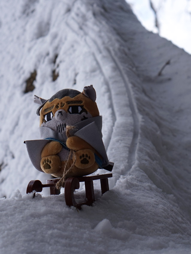 🐱うぇい🛷
#フォゼ尾といっしょ