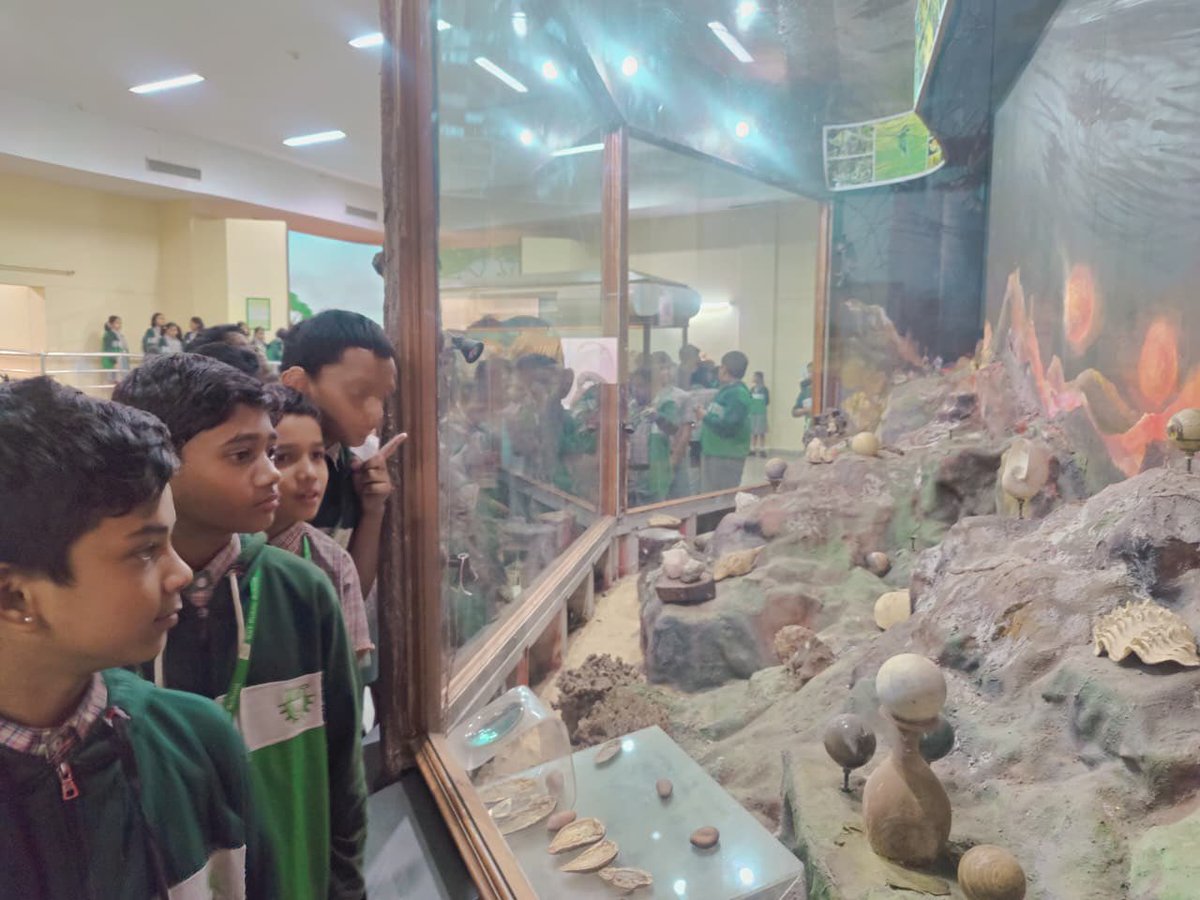 KIITPublicSch's tweet photo. On January 10, 2026, our students embarked on a truly remarkable trip to The Regional Museum of Natural History.
The museum provided an insight into the varied ecosystems that makes our planet so unique.
#kiitpublicschool
#Enchantingexposure
#Beyondclassroom https://t.co/DGCjD747cZ