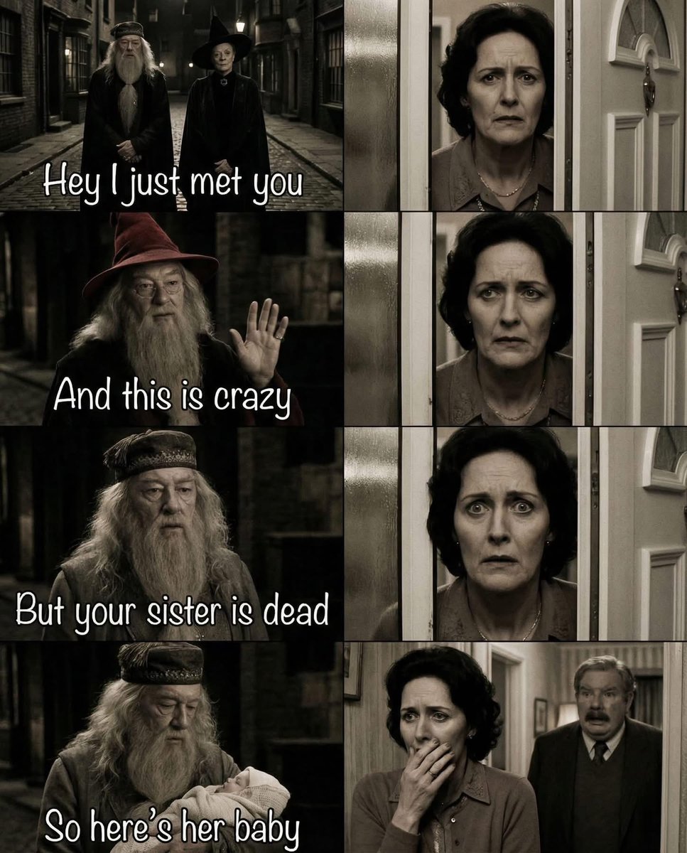 Daily Harry Potter tweet media