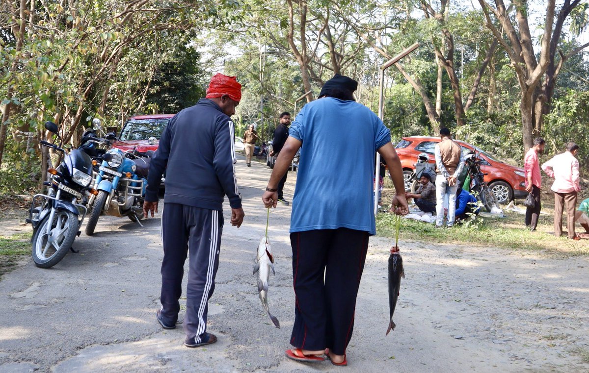 Shutter Stories | Gauhati University 📸 

🎣🦆 Every year as a part of Magh Bihu celebration, on the day before Uruka, the Aquaculture and Biodiversity Centre of Gauhati University becomes a familiar stop where people buy fresh fish, duck, chicken, and more for the Uruka feast.