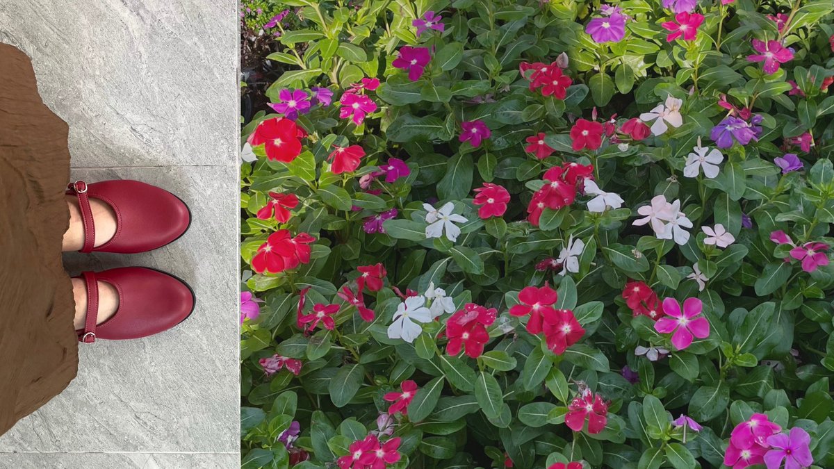 🫗 ﾟ🍈👠  ҉҉