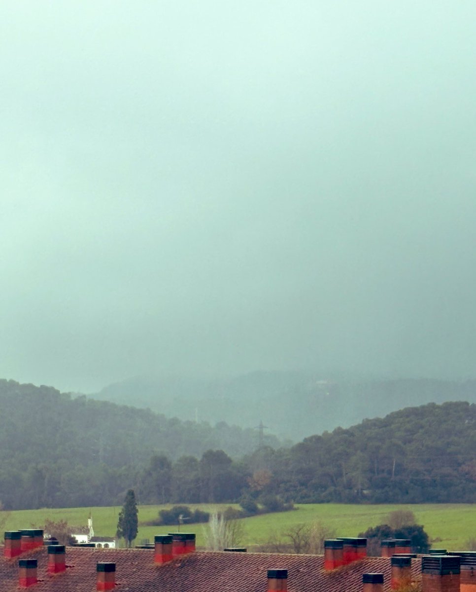 Albert Ramos Catalán 🎯 Business Developer tweet media