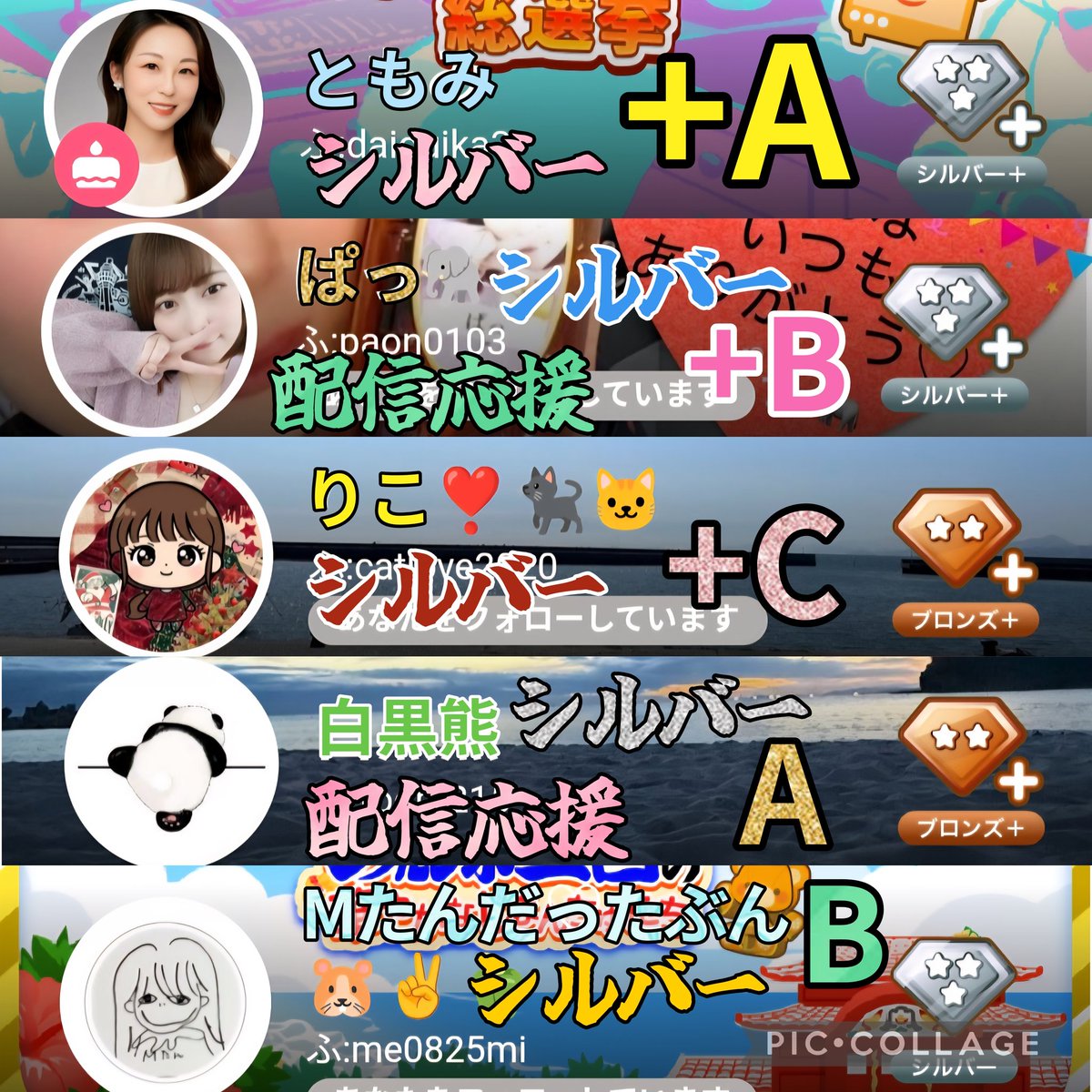 配信応援シルバークラス
こんな感じでーす。