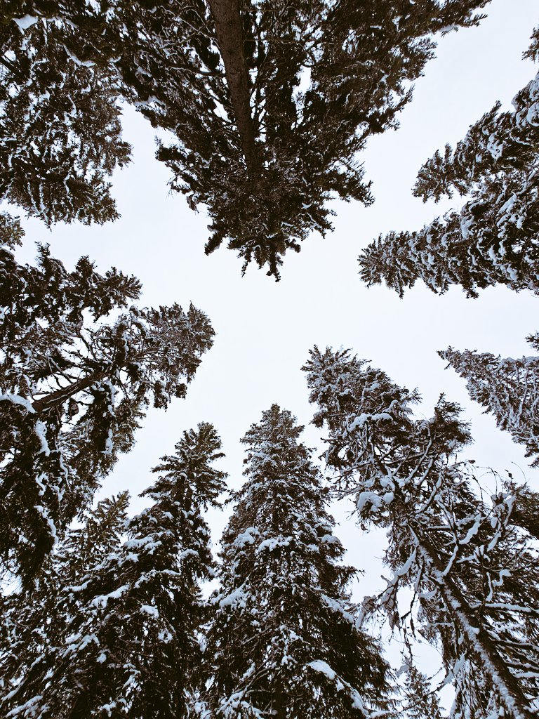 Huomenta 😊
Hitaat aamut
Metsän rauha 
Aamulenkki 💚
Hyvää viikonloppua just sulle 😍