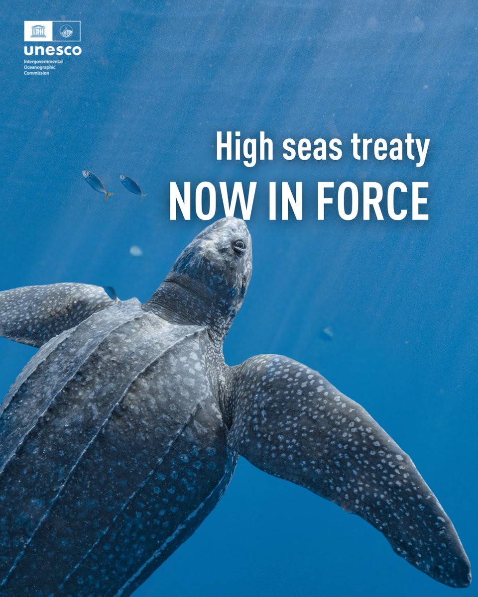 Intergovernmental Oceanographic Commission -UNESCO tweet media