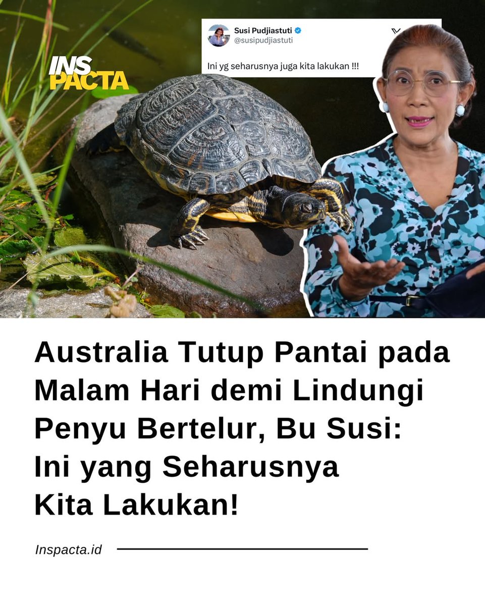 DS_yantie's tweet image. 