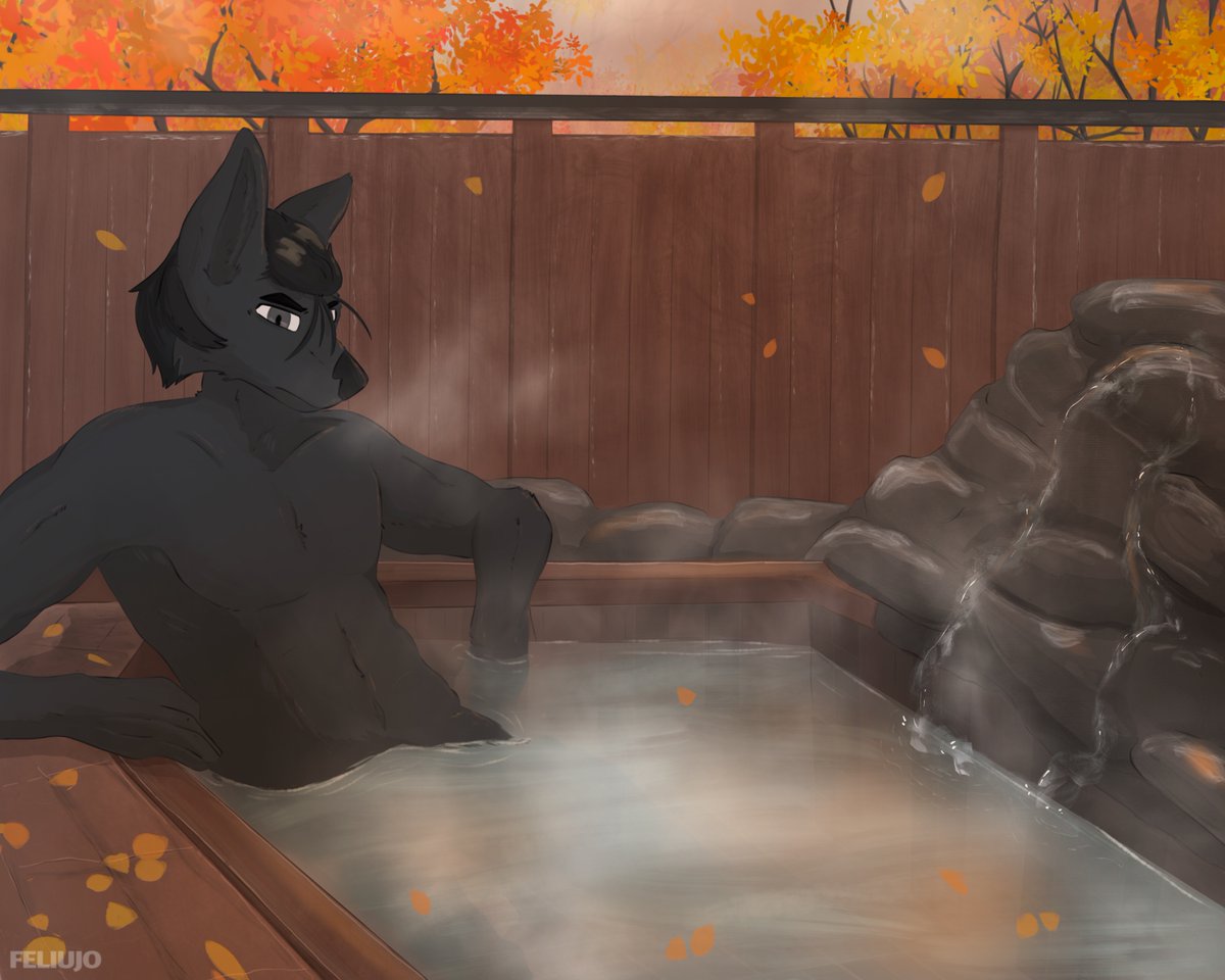 フェリ tweet media