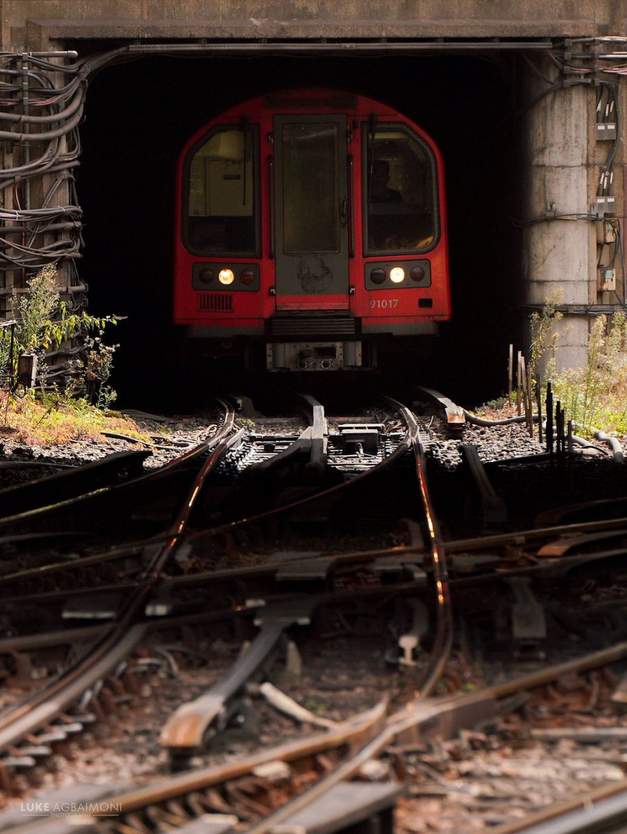 Tube Mapper - Luke Agbaimoni tweet media