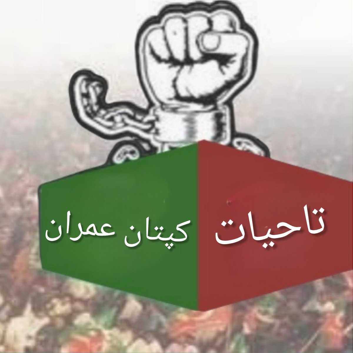 team SOW Official ٹیم شاہین اف واریئر tweet media