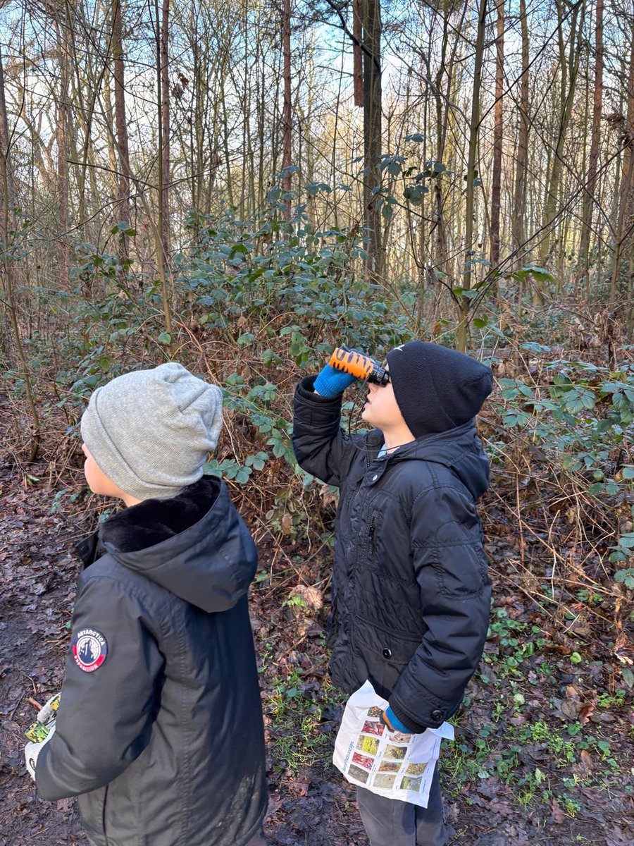 Another fantastic Bird Day at Rougham. We used our eyes and ears to identify birds and were lucky enough to spot 2 red kites hunting together on our whole school walk. @thetilian