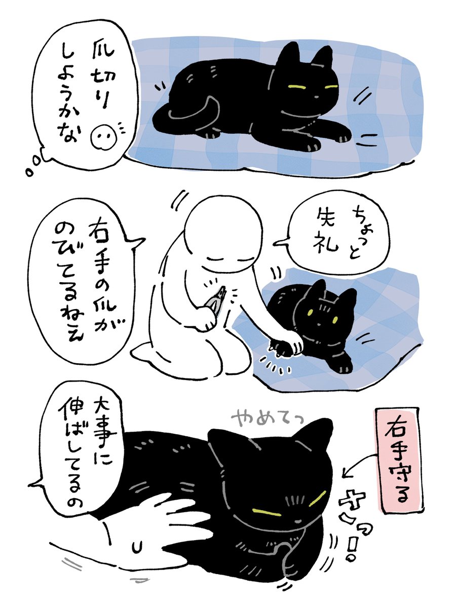 『爪切らないで〜』のひかえめな表明
いじらしすぎて切れんかった……
寝てる間にコッソリちょっぴり切ります 