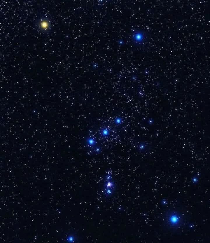 Beautiful Orion Constellation ✨